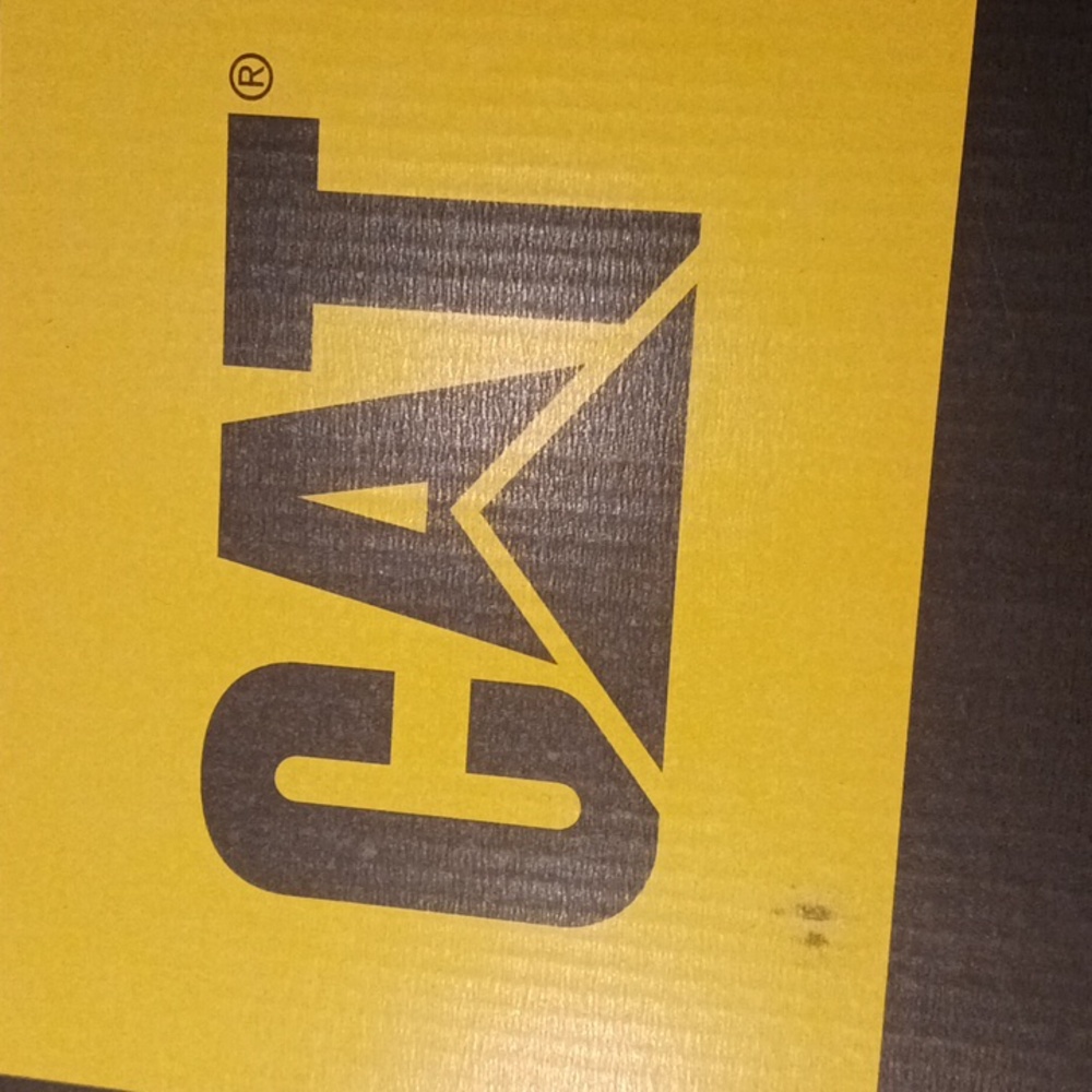 CAT Size 10 safety shoes